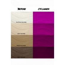 CRAZY COLOR Cyclamen No.41 100 ml