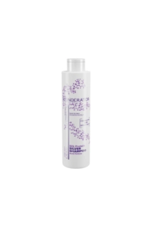 Imperity BLONDERATOR SILVER STRIEBORNÝ ŠAMPÓN 200ml IP