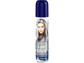 Venita 1 Day Color Spray Silver Shine 