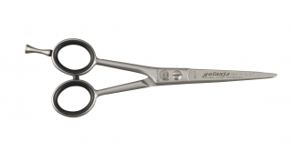 Kiepe Galaxis 288/5.5"